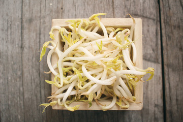 Bean sprouts