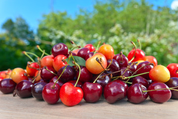  sweet cherries