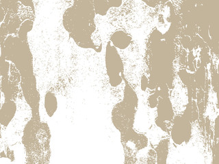 Bark close up texture vector illustration. Beige colors