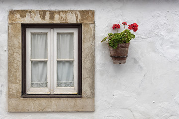 Obraz na płótnie Canvas flowerpot with red geraniums on the facade of the house