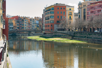 Fototapeta na wymiar Old Town of Girona