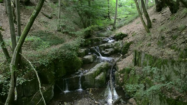 wild stream Brodenbach next to Mosel River. Waterfalls and stones. wild landscape. (Germany, Rhineland-palatinate) 