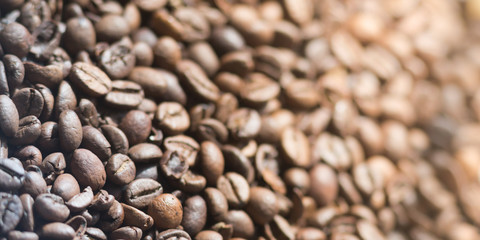 Grains of coffee background