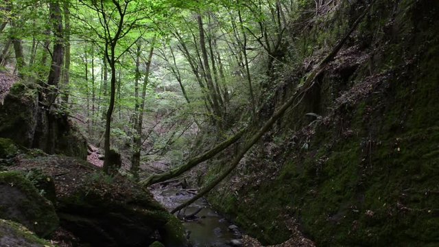 wild stream Brodenbach next to Mosel River. Waterfalls and stones. wild landscape. (Germany, Rhineland-palatinate) 