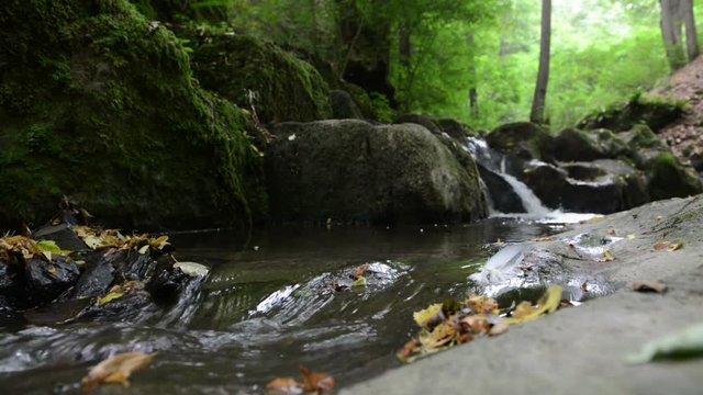 wild stream Brodenbach next to Mosel River. Waterfalls and stones. wild landscape. (Germany, Rhineland-palatinate) 