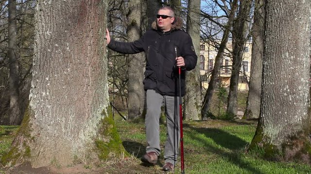 Hiker with walking sticks do exercises for legs near tree in the park