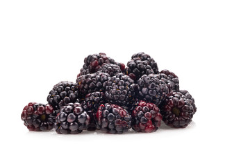 Blackberry isolated on white background