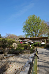 青空と日本庭園