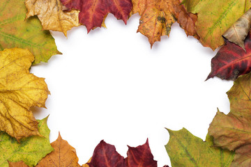 colorful autumn leaves frame with copy space