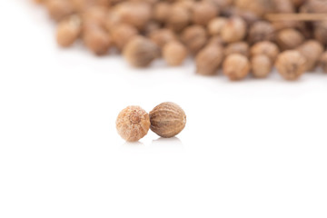 Coriander seeds on white background