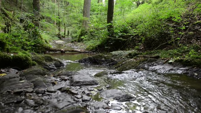 wild stream Brodenbach next to Mosel River. Waterfalls and stones. wild landscape. (Germany, Rhineland-palatinate) 