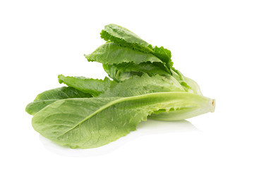 Cos Lettuce Isolated on White Background