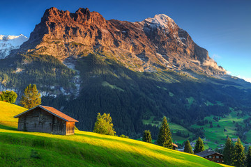 Typical wooden alpine chalets,Eiger North face,Grindelwald,Switzerland,Europe - obrazy, fototapety, plakaty