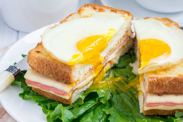 French toasted sandwich Croque madame, cut, closeup
