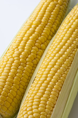 トウモロコシ