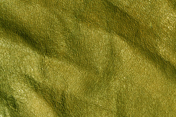 Absract green leaher texture.