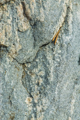 background texture of stone surface
