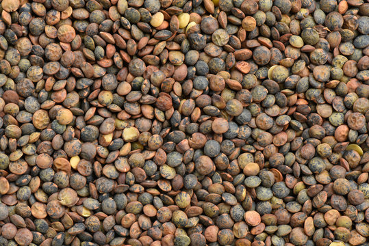 Organics  lentils background