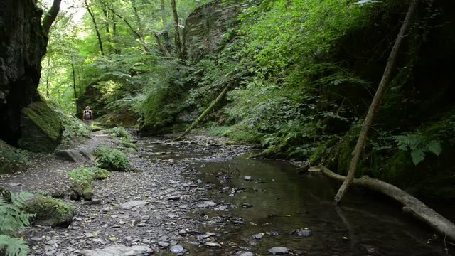 wild stream through a forest. Ehrbach canyon at mosel valley. (Brodenbach, germany) 
