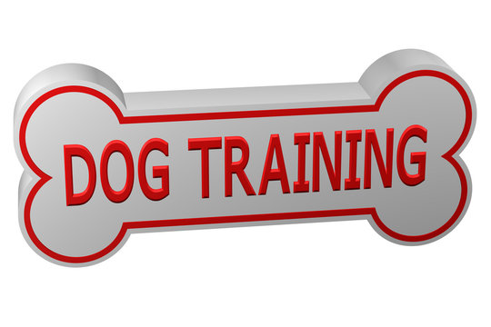 Concept: dog training. 3D rendering.
