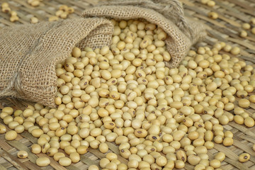 Soy bean
