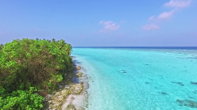 Flying over the coconut palms on the tropical island of Maldives.