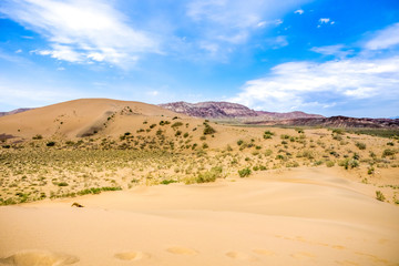 Fototapeta na wymiar sand dune with bushes on a background of mountains