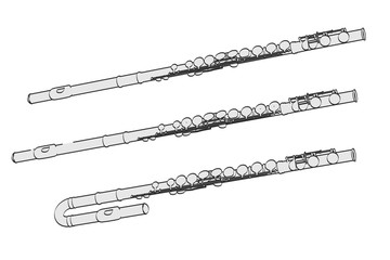 2d cartoon illustration of flutes