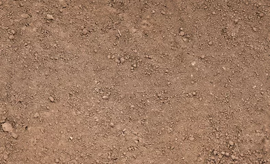 Deurstickers Brown ground surface. Close up natural background © Andriy Medvedyev