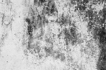 Wall fragment with attritions and cracks