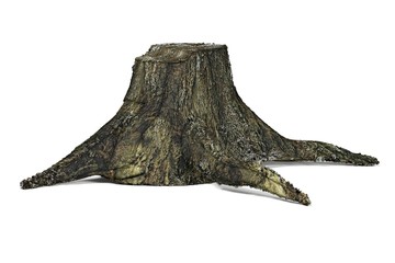 Fototapeta premium 3d render of old stump