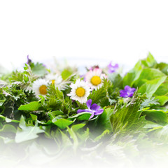 Essbare Kräuter und Blüten im Frühling, Frühjahrskur mit frischen Salat aus Wildkräutern, Brennnessel, Löwenzahn, Giersch, Taubnessel, Gänseblümchen, Ehrenpreis, Veilchen, vegane Ernährung © Annett Seidler