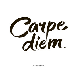 Carpe diem. In latin means Catch the moment. Hand-lettering using a brush inspirational quote  isolated on white background. Vector calligraphy art.