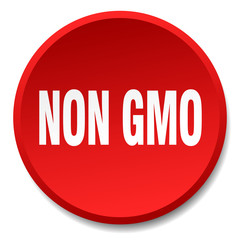 non gmo red round flat isolated push button