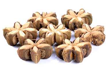 Sacha inchi peanut on white background