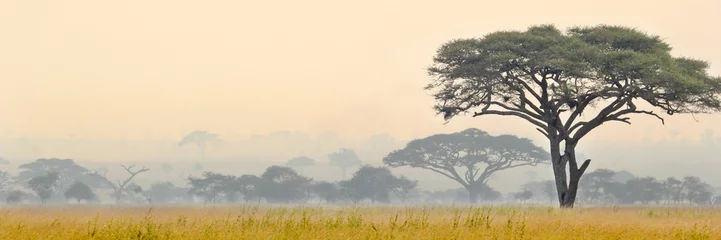 Tuinposter Mooie scène van Serengeti National park? © mattiaath