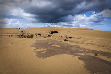 Fototapeta na wymiar Natural sand scaltures,Fuerteventura,canary-islands Spain
