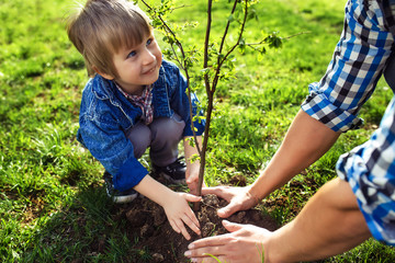 Curious little boy helping his father to plant the tree while working together in the garden. smile...