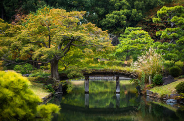 Fototapeta na wymiar wooden bridge over the pond autumn maple trees leaves in Rikugien garden, Tokyo Japan