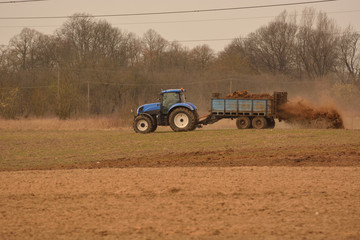 Obraz premium Manure spreader in use