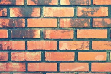 Obraz premium brick wall color vintage texture