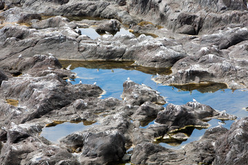 Portugal, Azores, Pico island.