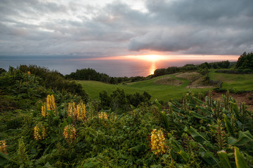 Obraz premium Portugal, Azores, Pico island.
