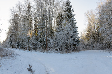 Winter road