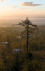 Morning in foothills.