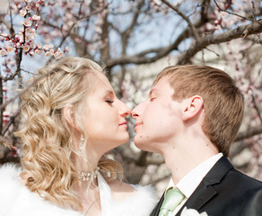 Just married among the flowers of blossoming apricot