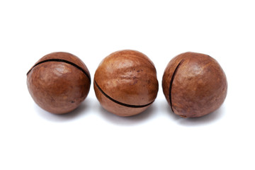 macadamia nuts in shell isolated on white background. Macadamia is the most expensive nut in the world