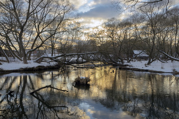 Winter dawn