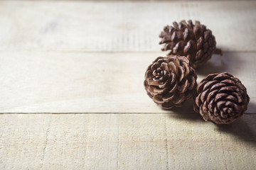 pine cones