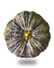 Top view of Pumkin